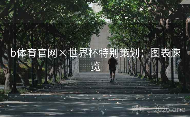 b体育官网×世界杯特别策划：图表速览